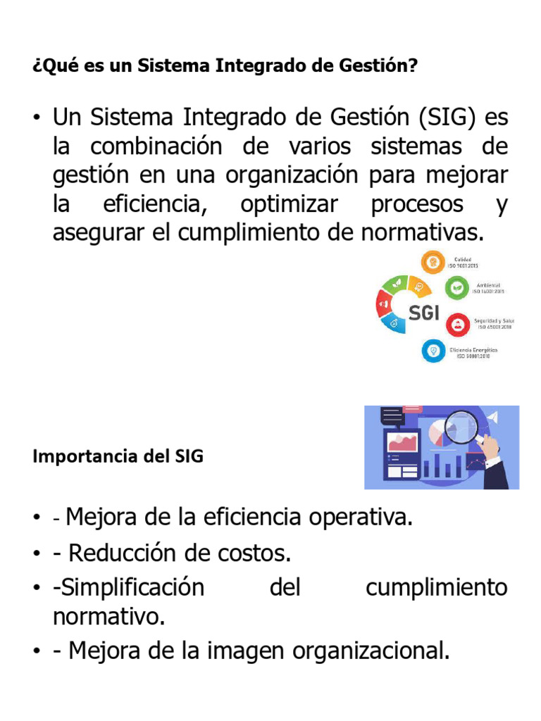 Sistema Integrado de Gestión: Claves y Beneficios | PDF