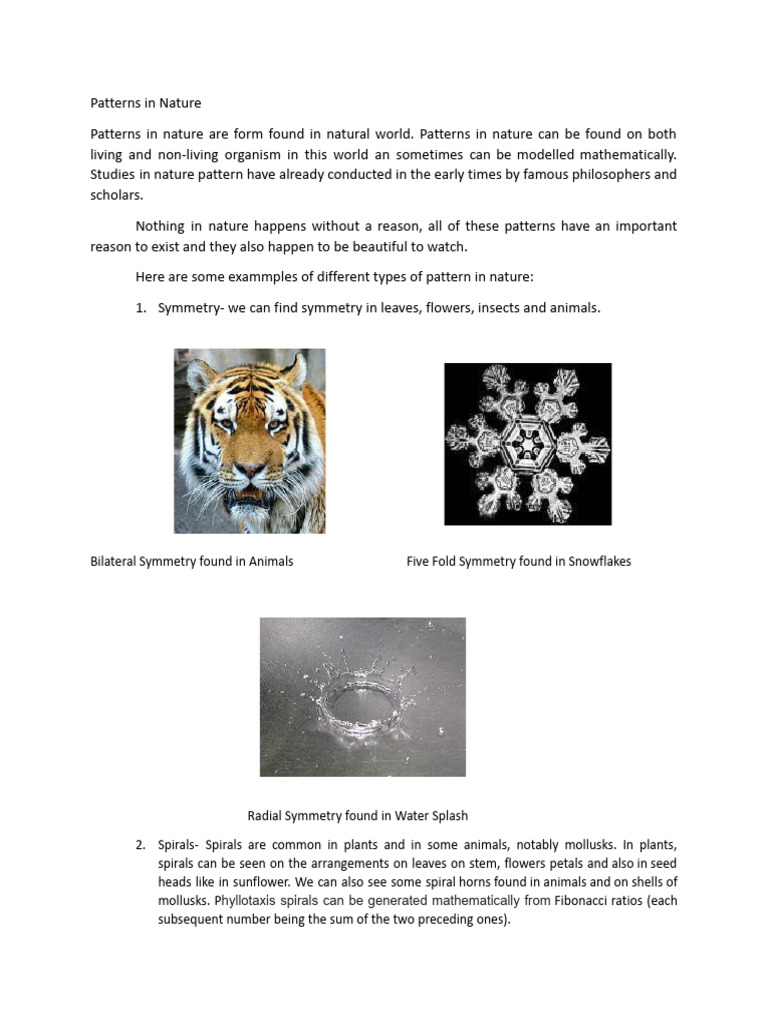 Nature's Patterns: Symmetry, Spirals, Fractals | PDF | Pattern | Nature