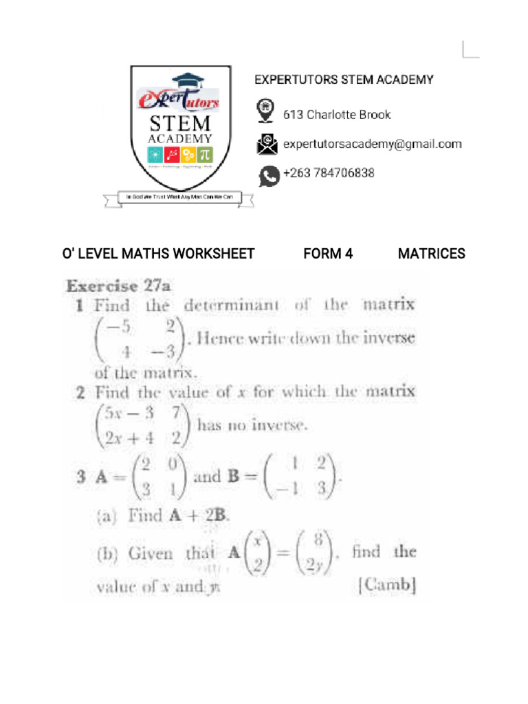 O' Level Maths Matrices | PDF