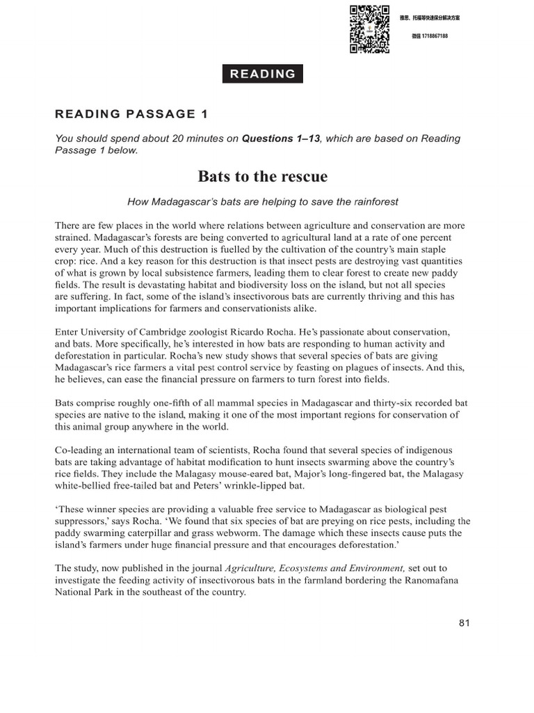 Reading C17 - T4 - P1 | PDF