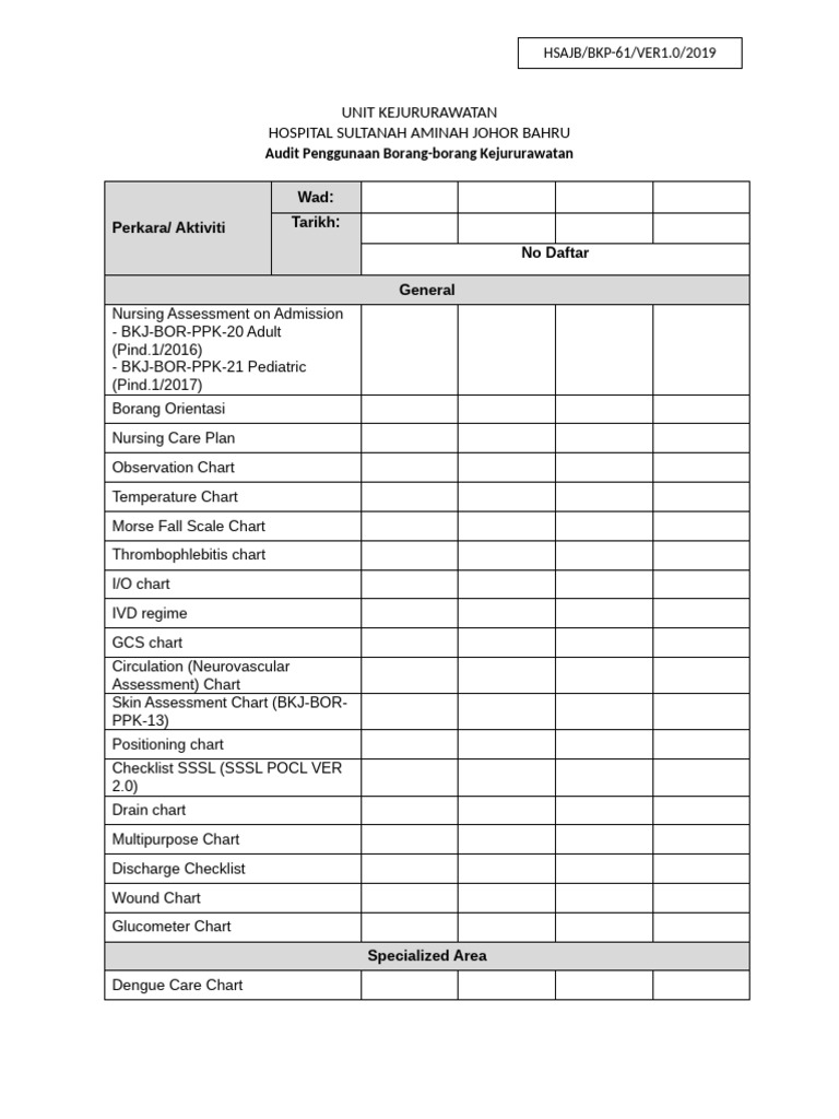 Nursing Audit Forms Overview | PDF