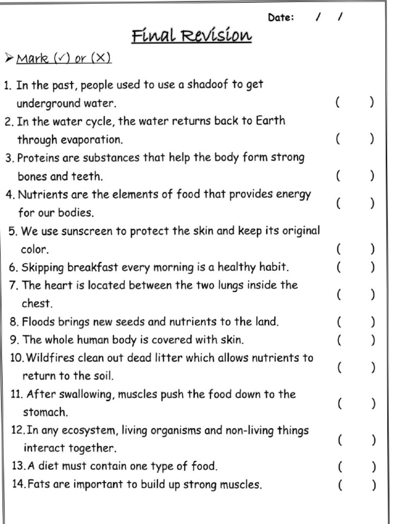 Science Final Revision Sheet | PDF