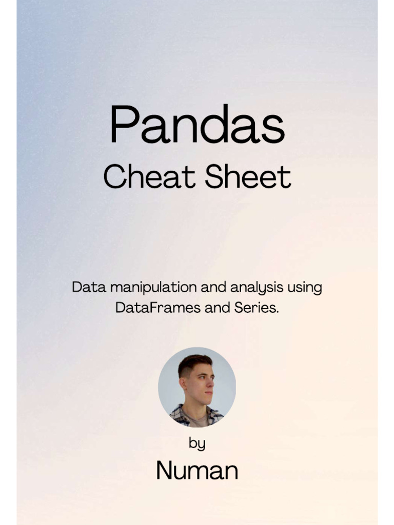 Panda | PDF