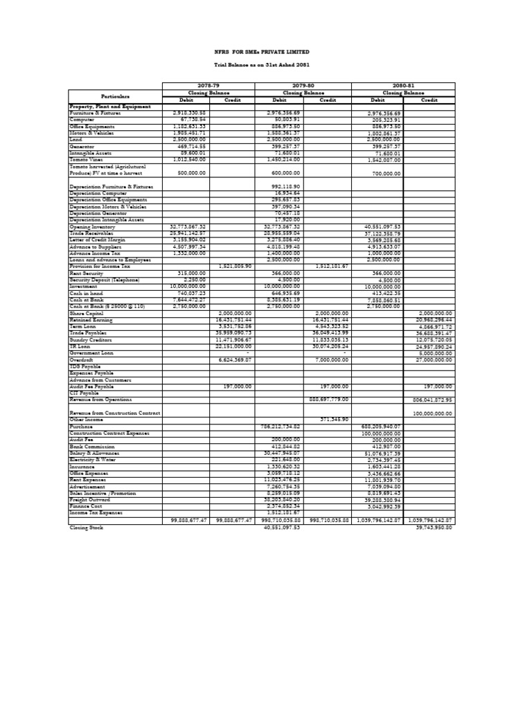 Trial Balance and Adjustments Summary | PDF | Depreciation | Valuation ...