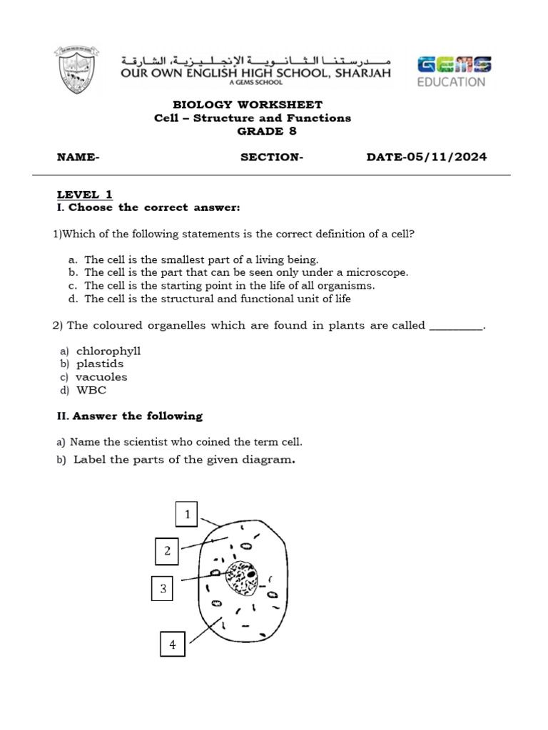 Grade 8 Cell Structure Worksheet | PDF | Cell (Biology) | Chloroplast