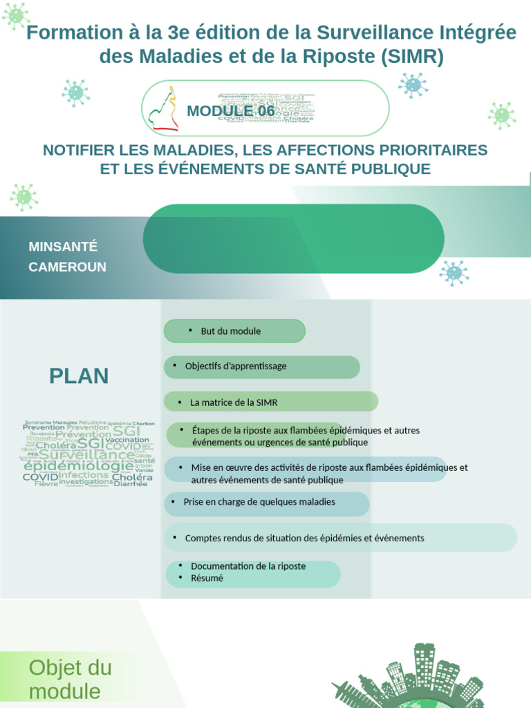 Formation SIMR 3e Édition au Cameroun | PDF | Choléra | Infection