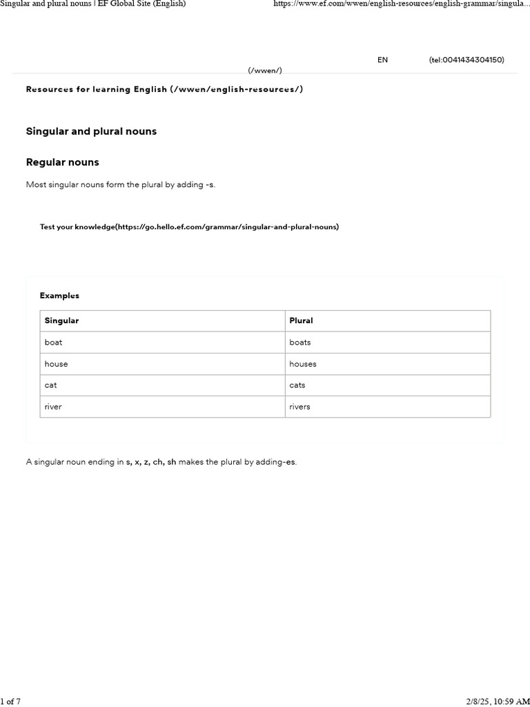 Singular and Plural Nouns Guide | PDF | English Language | Plural
