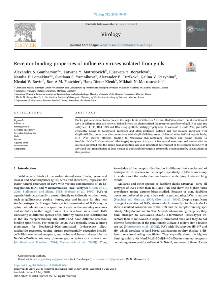 Gull Influenza A Virus Receptor Binding | PDF | Influenza A Virus ...
