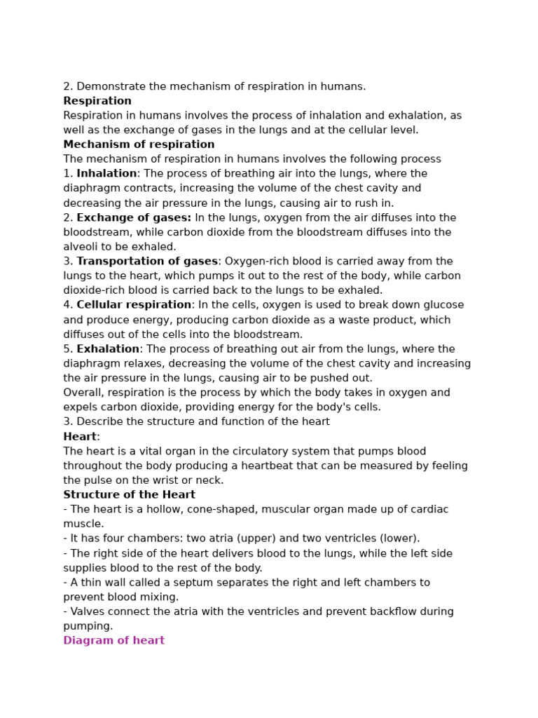 Class 7 second chapter pdf breathing heart