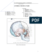 03-01 Anatomija Skeleta Glave v3