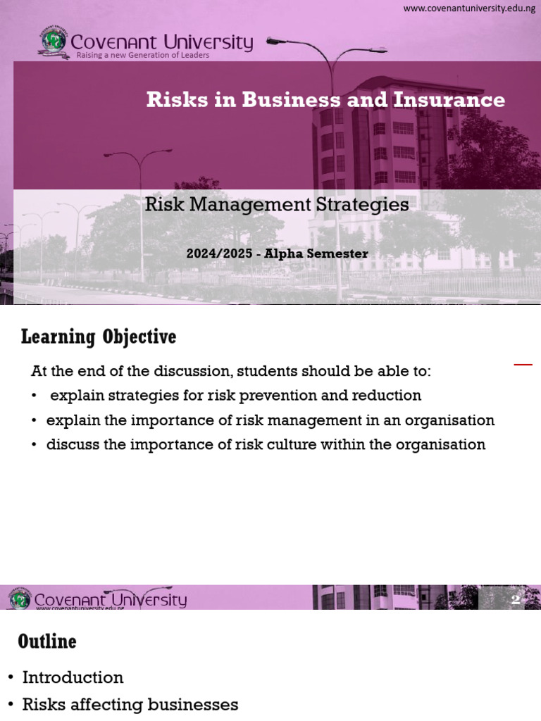 Business Risk Management Strategies | PDF | Risk Management | Risk