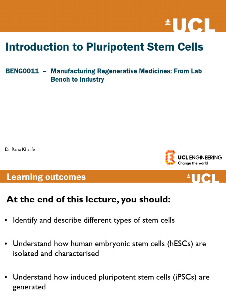 Understanding Pluripotent Stem Cells | PDF | Cell Potency | Stem Cell