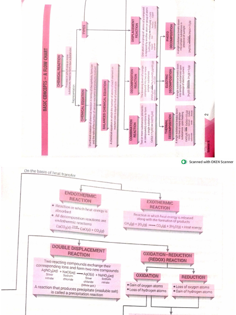 XAMIDEA SCIENCE X all flowcharts term 1 | PDF