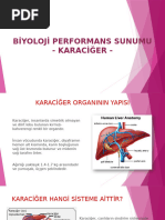 2019 - 14. Türk Hepatopankreatobiliyer Cerrahi Kongresi | PDF