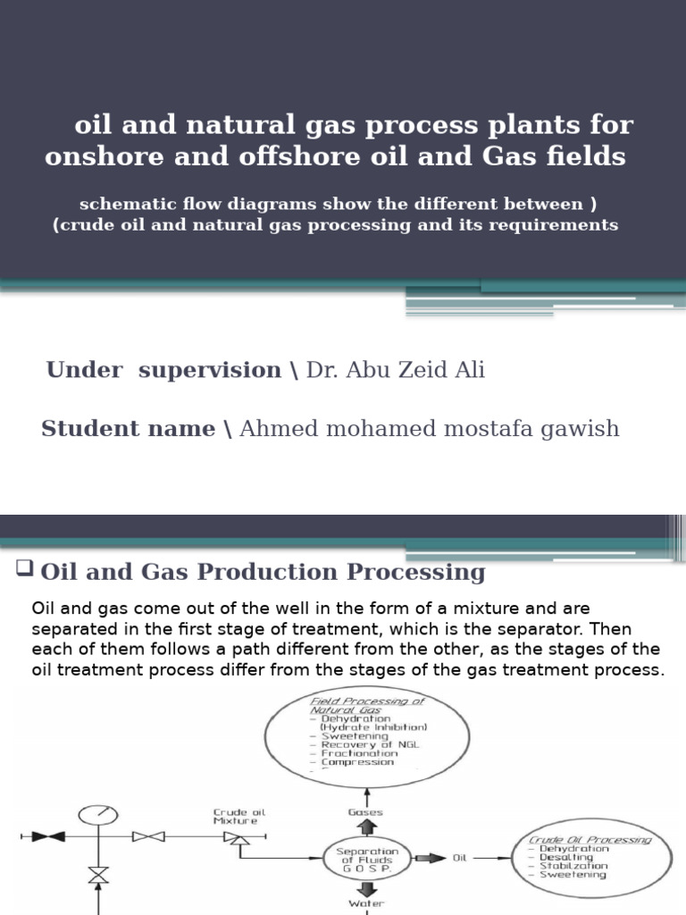 Process Plant | PDF | Natural Gas Processing | Natural Gas