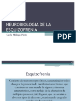 Neurobiologia de La Esquizofrenia