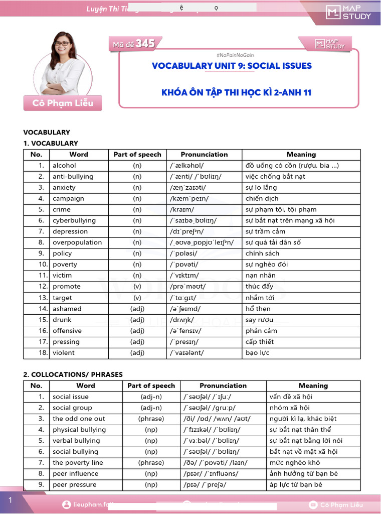 Unit 9: Social Issues Vocabulary Guide | PDF | Bullying | Cyberbullying