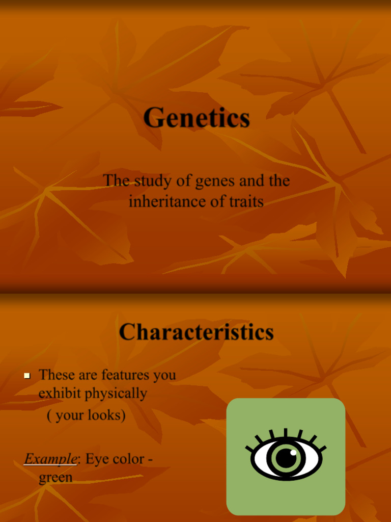 Genetics: Traits, Inheritance, and Diseases | PDF