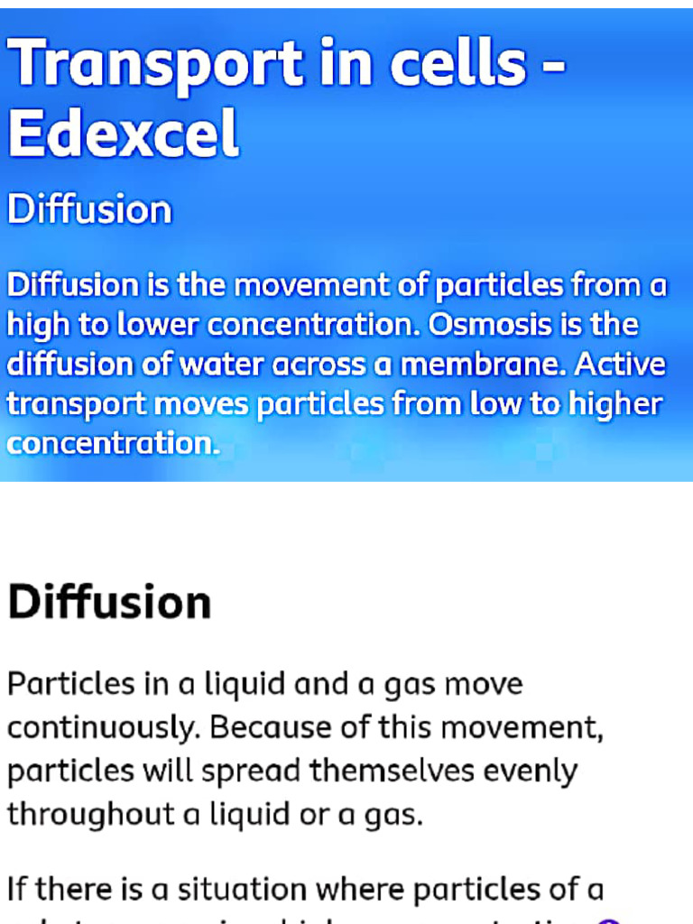 Cell Transport | PDF