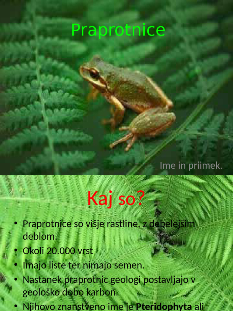 Bio Ref Praprotnice 04 Predstavitev | PDF
