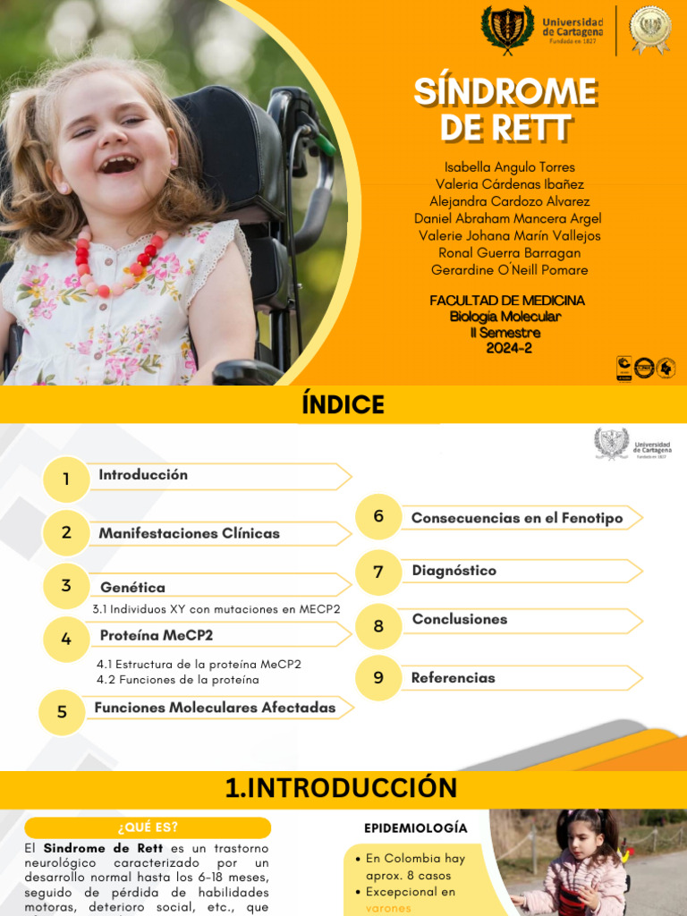 Síndrome de Rett: Genética y Diagnóstico | PDF | Mutación | La ...