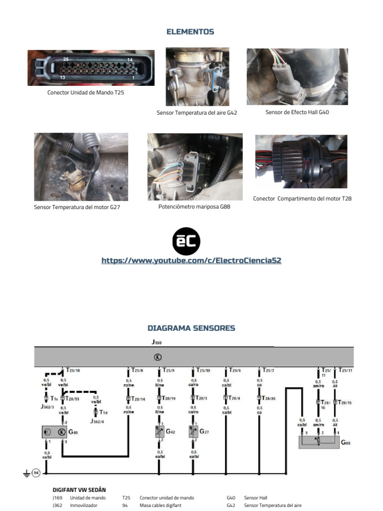 Componentes y Sensores VW Digifant | PDF