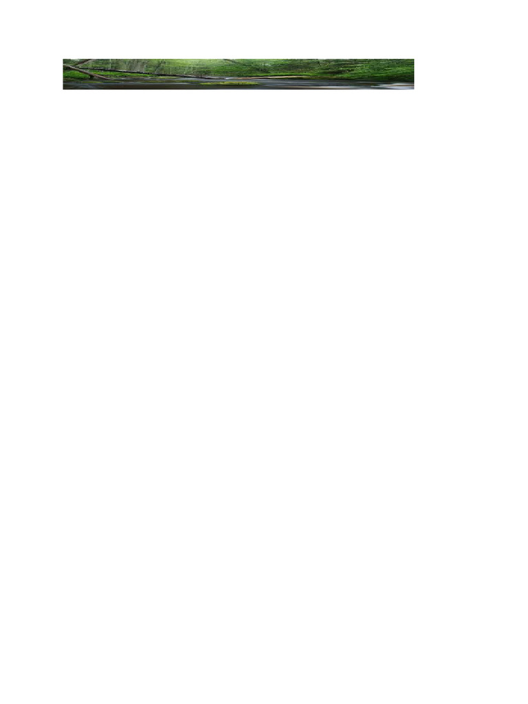 DDDD | PDF