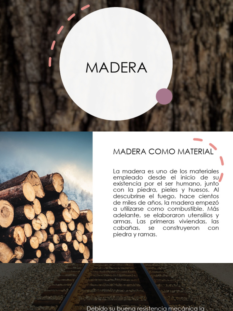 Obtención y Estructura de la Madera | PDF | Arboles | Madera