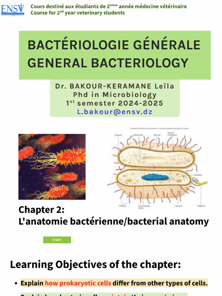 Chapter-2-Bacterial anatomy-Anatomie-bacterienne-BAKOUR-L | PDF
