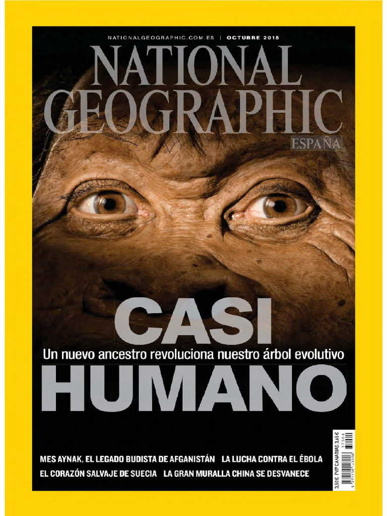 05 HMAA Casi-Humano | PDF