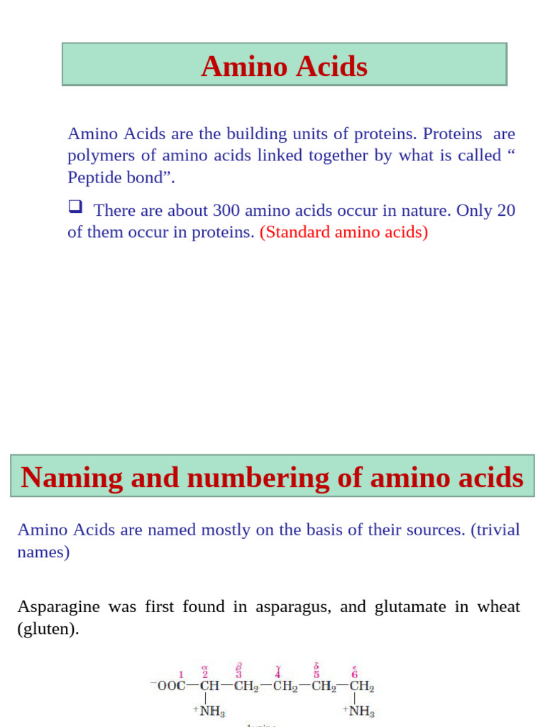 Understanding Amino Acids and Their Properties | PDF | Amino Acid ...