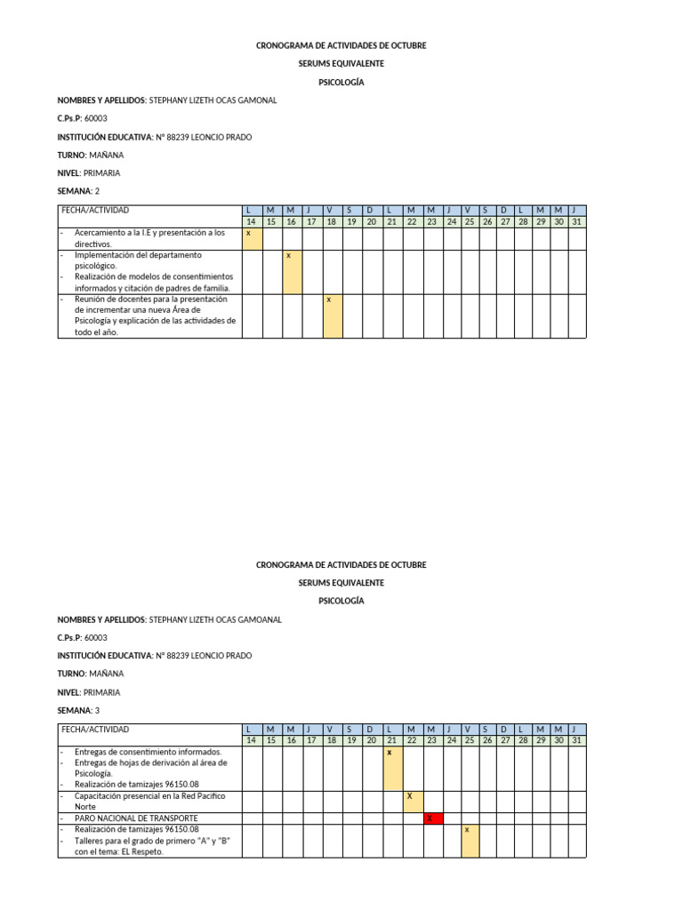 Cronograma de Actividades | PDF