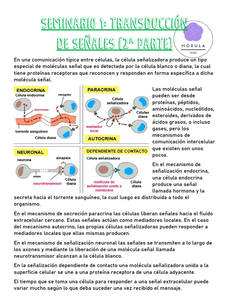 Mecanismos de Señalización Celular | PDF | Transducción de señales ...