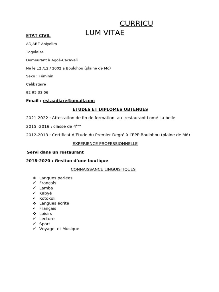 cv-d-adjare-aniyelim-profil-togolais-pdf