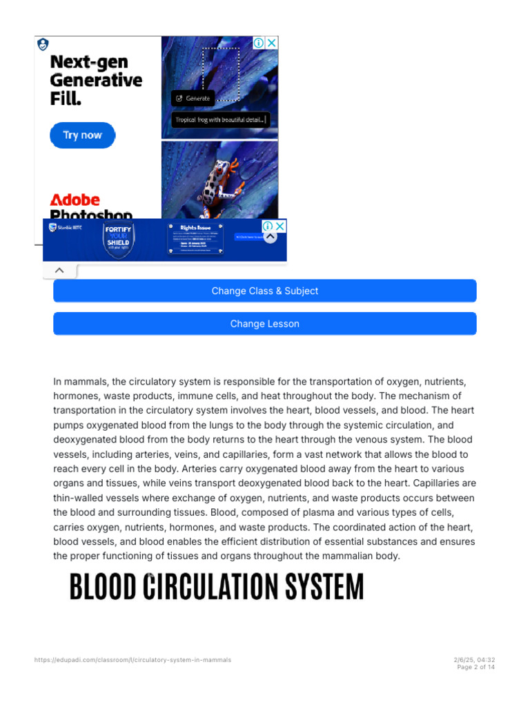 Circulatory System In Mammals SS2 Biology Lesson Note EduPadi 