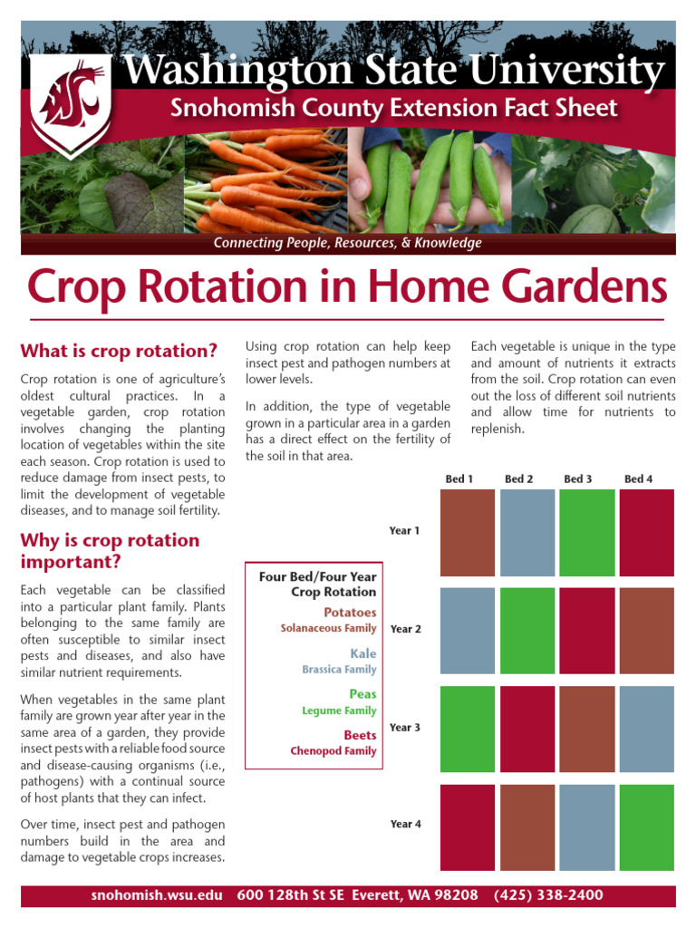 Effective Crop Rotation Strategies | PDF | Crop Rotation | Vegetables