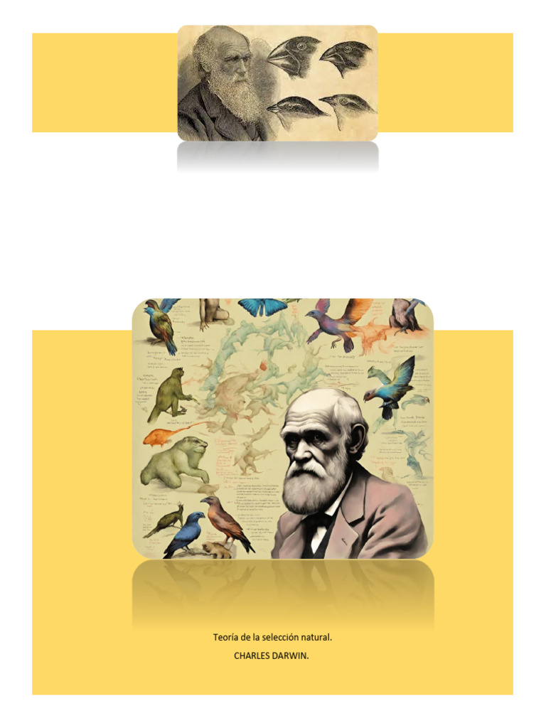 Teoría de la Selección Natural de Darwin | PDF | Seleccion natural ...