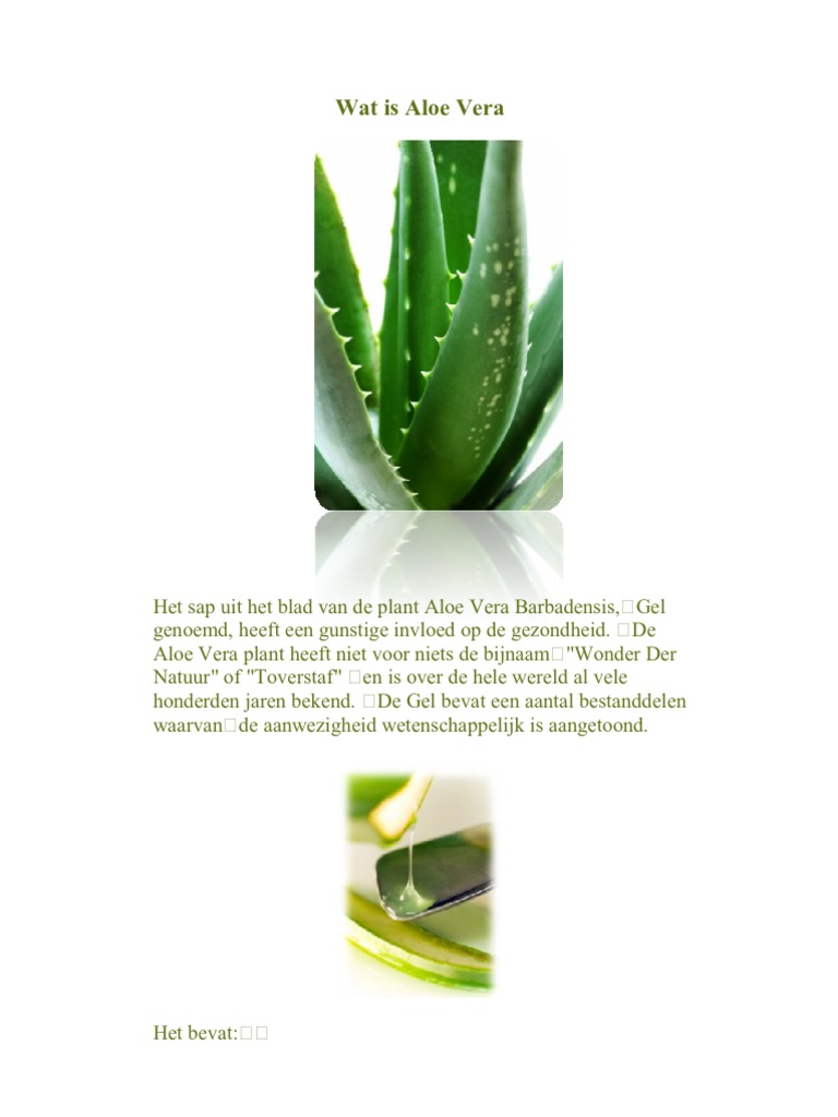 Wat Is Aloe Vera