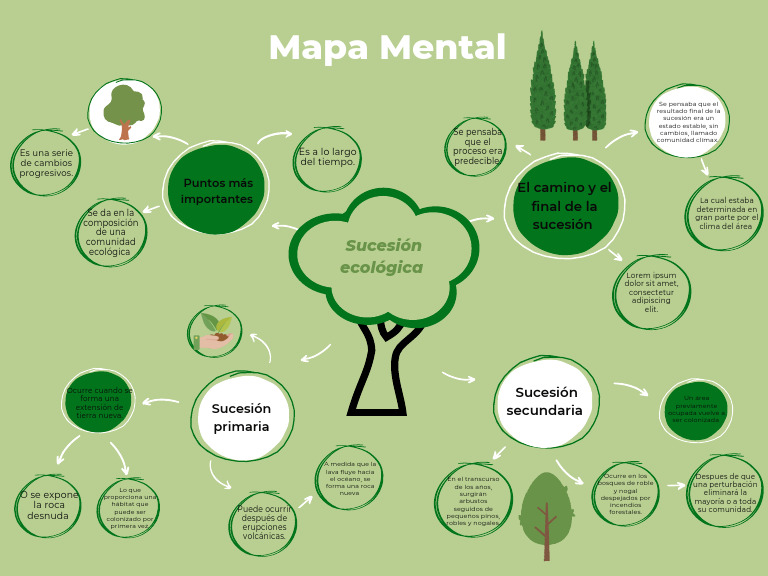 Gráfico de Mapa Mental o Conceptual Con Bombilla de Luz y Formas ...