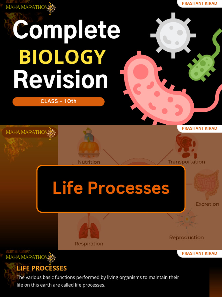 Life Processes in Class 10 Biology | PDF | Plant Hormone | Circulatory ...