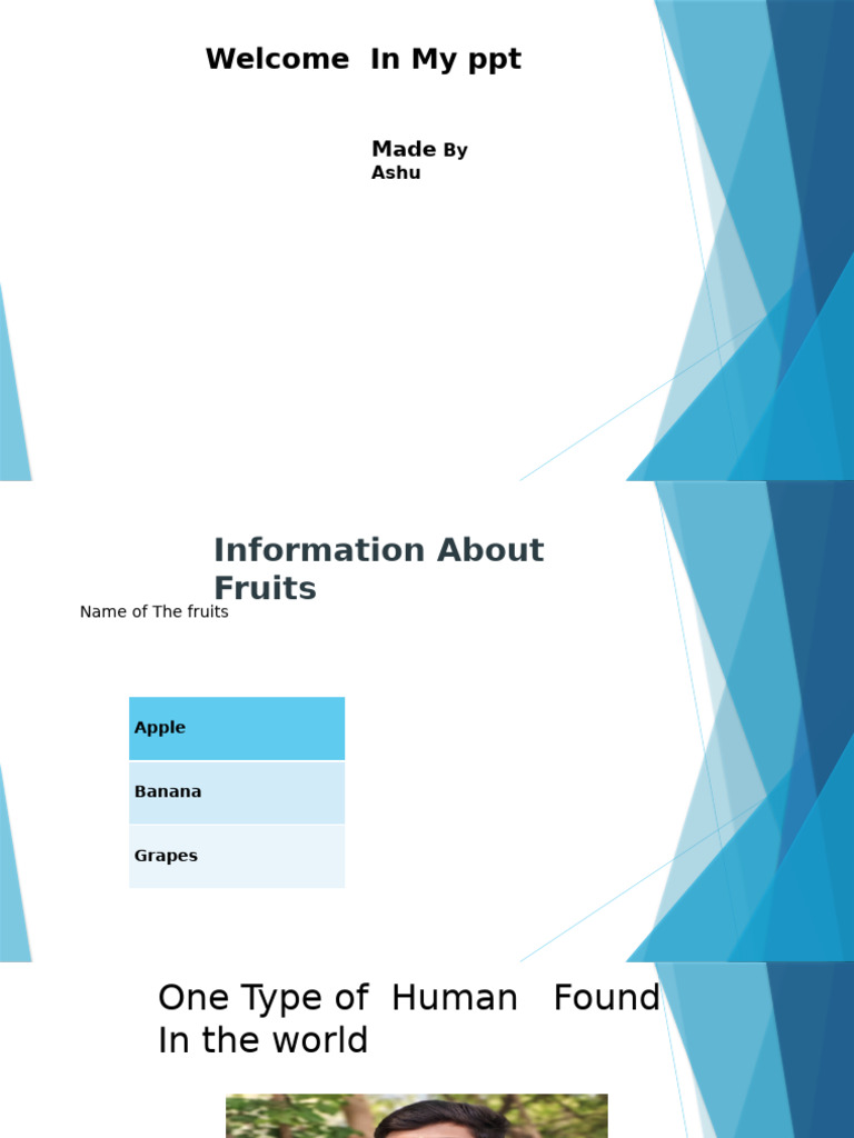 Presentation 4 | PDF