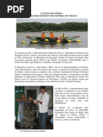 OSTREICULTURA NO LITORAL DO PARANÁ