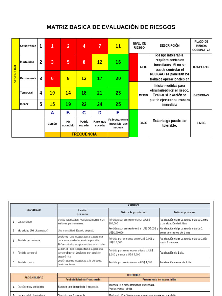 Matriz Basica de Evaluacion de Riesgos | PDF