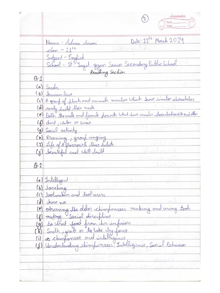 Adnan Ansari Class XI English | PDF