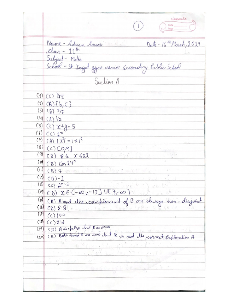 Adnan Ansari 11th Maths | PDF