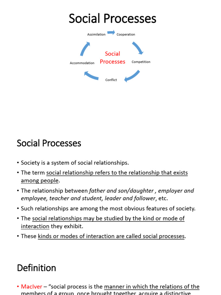 Understanding Social Processes in Society | PDF | Cultural Assimilation ...
