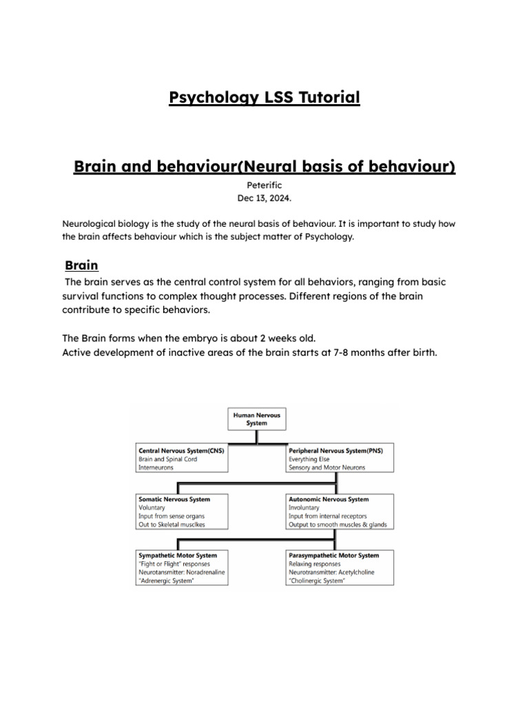 Neural Basis of Behavior Explained | PDF | Brain | Nervous System