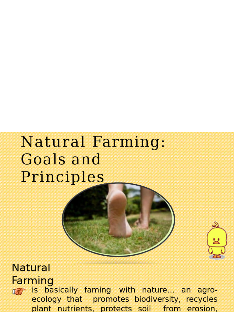 Principles of Natural Farming Explained | PDF | Organic Farming ...