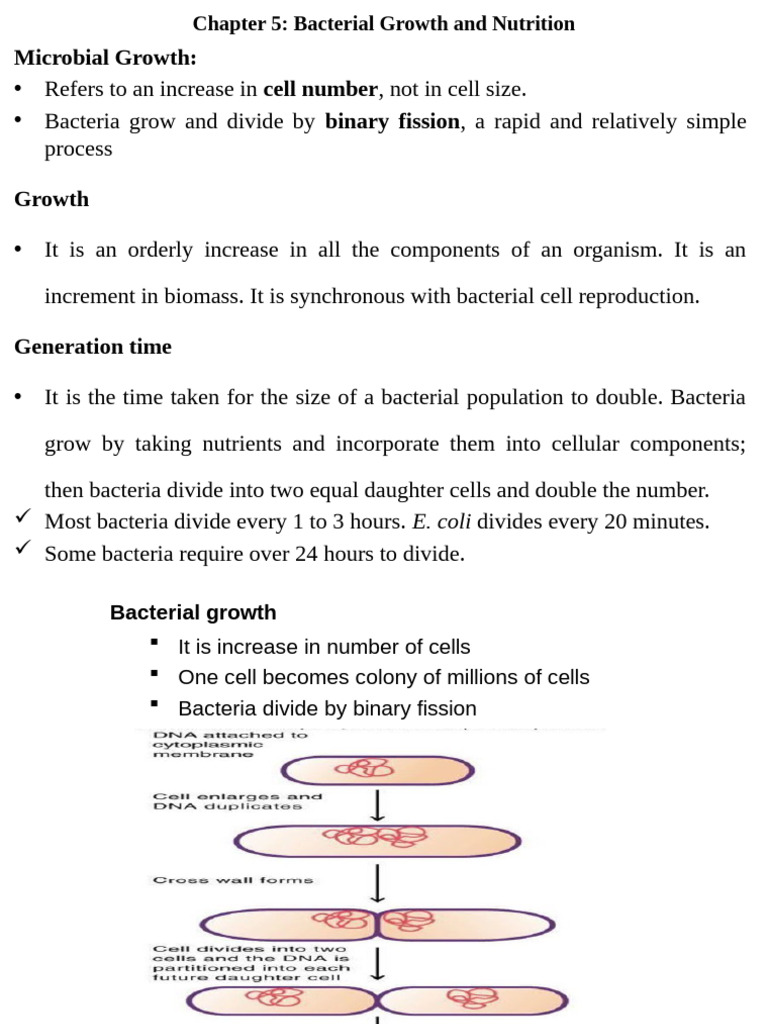 Chapter 5 - Microbial Growth & Nutration | PDF | Bacteria | Metabolism