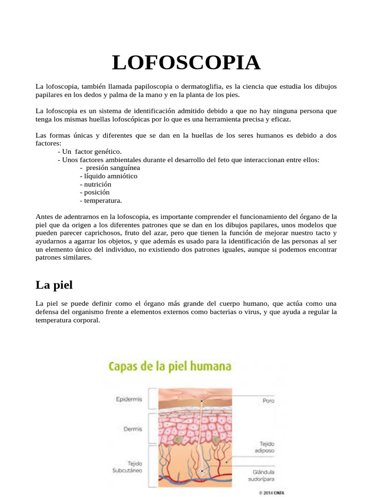 Lofoscopia. Quiros | PDF | Huella dactilar | Piel